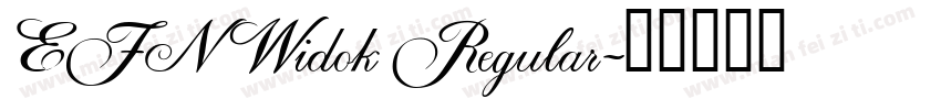 EFN Widok Regular字体转换